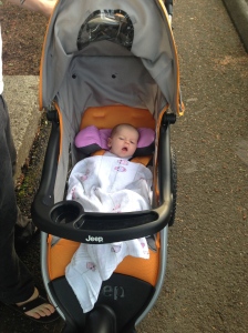 In her stroller (she's too small for it but we had her buckled in safe, went slowly, and used the headrest from the carseat)